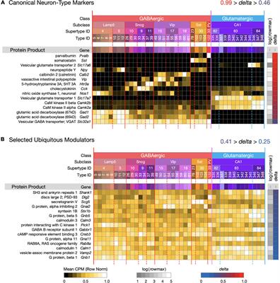 A Molecular Landscape of Mouse Hippocampal Neuromodulation